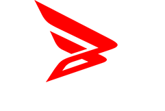 Byonic Logo